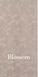 GLOBO RELAIS Биде напольное 56х36х43h, белый/декор Blossom B12, RE009.12 RE009.12 фото 2