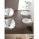 Hatria NIDO Унитаз подвесной 36.3x54.8 c крепежами Y0L9, YXMD01 YXMD01 фото 2